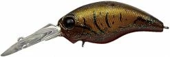 Evergreen USA Shallow Diving (0-7ft.) WH-5 Crankbaits