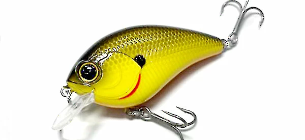 Mibro Warloq Shallow Diving (0-7ft.)