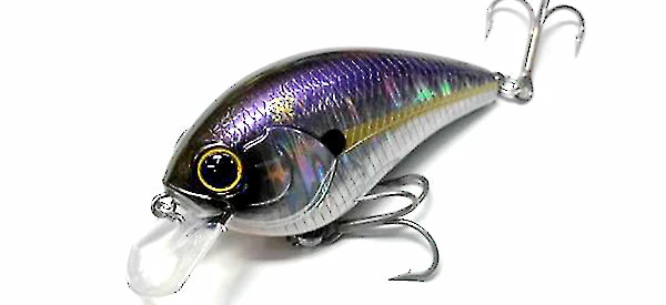 Mibro Warloq Shallow Diving (0-7ft.)