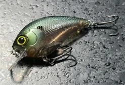 Mibro Warloq Shallow Diving (0-7ft.)