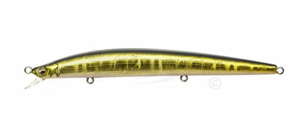 Megabass X-120