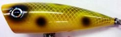 Yellow Magic Magnum Popper