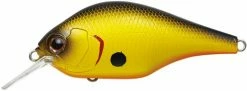 Evergreen International Shallow Diving (0-7ft.) Zeruch