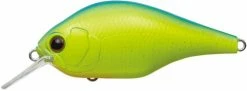 Evergreen International Shallow Diving (0-7ft.) Zeruch