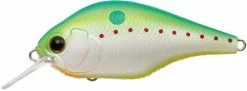 Evergreen International Shallow Diving (0-7ft.) Zeruch