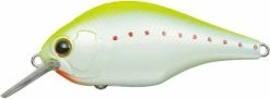 Evergreen International Shallow Diving (0-7ft.) Zeruch
