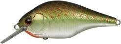 Evergreen International Shallow Diving (0-7ft.) Zeruch