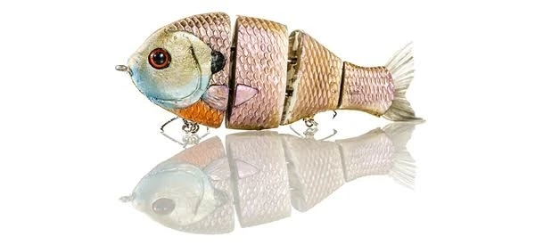 Triton Mike Bucca Hard Body Bull Gill