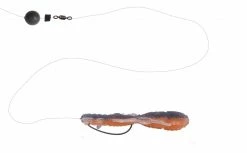 Bottom Up Bulls Hog Baby