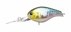 Lucky Craft Shallow Diving (0-7ft.) Clutch Series