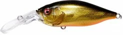 Megabass Deep-X 100 LBO