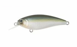 Bottom Up Reazzy Shallow Diving (0-7ft.)