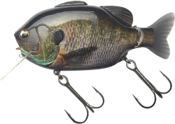 Imakatsu Hard Body Kominami Gilluchiwa