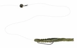 Bottom Up Hurry Shrimp