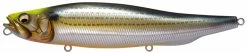 Megabass Megadog