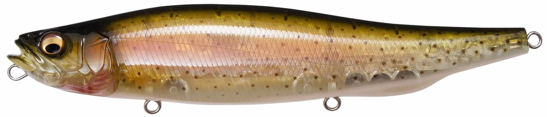 Megabass Megadog