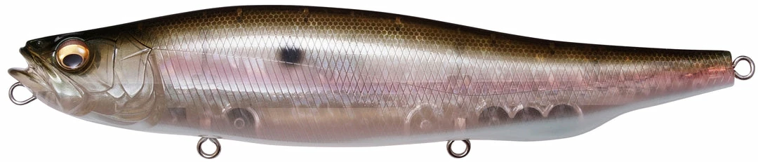Megabass Megadog