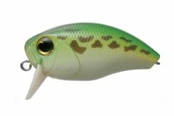 OSP Buzzin' Crank Heavy Hitter Shallow Diving (0-7ft.)