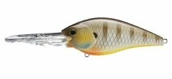 Lucky Craft Deep Diving (15 Ft.+) SKT Magnum 120 Mag DR Crankbaits