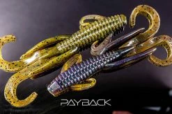 Reaction Innovations Creatures Man Bear Pig