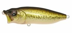 Megabass Pop Max