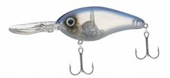 Strike King Pro Model 6XD Crankbaits