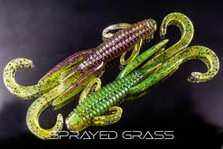 Reaction Innovations Creatures Man Bear Pig