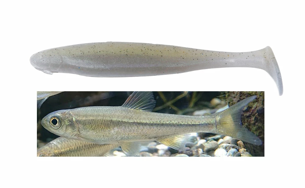 Bottom Up Volup Swimmer Paddletail Swimbaits